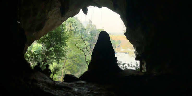 Existuj&iacute; nějak&aacute; rizika při použ&iacute;v&aacute;n&iacute; netop&yacute;ř&iacute;ho gu&aacute;na?