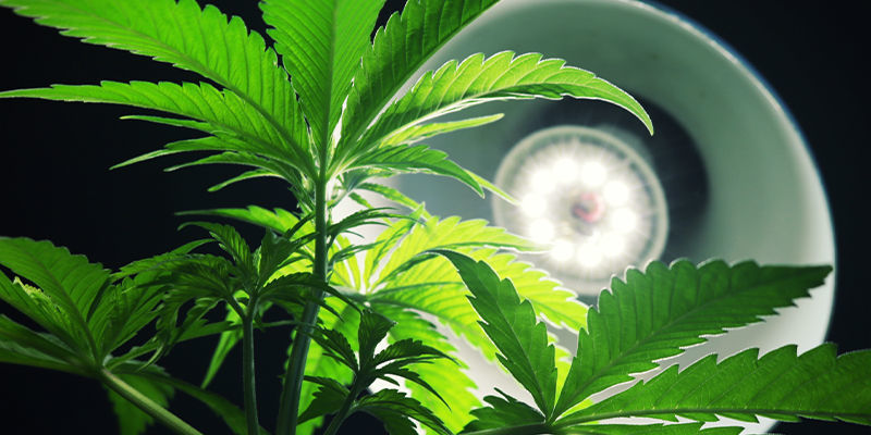 Co je bočn&iacute; osvětlen&iacute;?