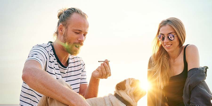 L&eacute;kařsk&eacute; vs rekreačn&iacute; konop&iacute;: &uacute;čel už&iacute;v&aacute;n&iacute;