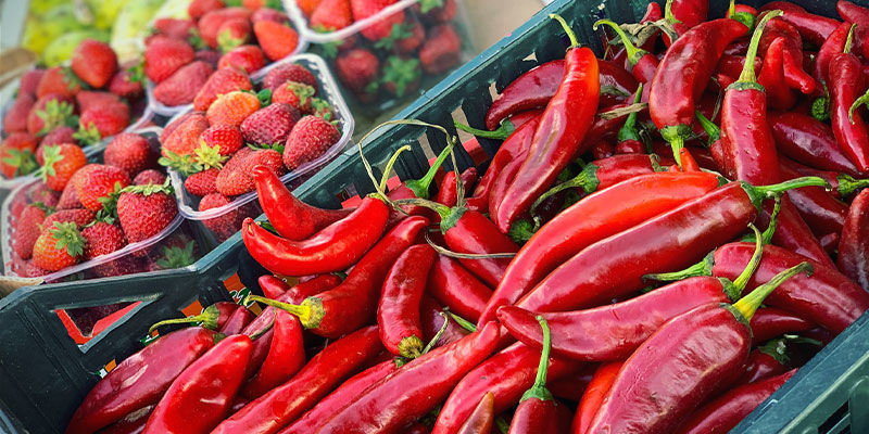 Kter&yacute;m rostlin&aacute;m se vyhnout?