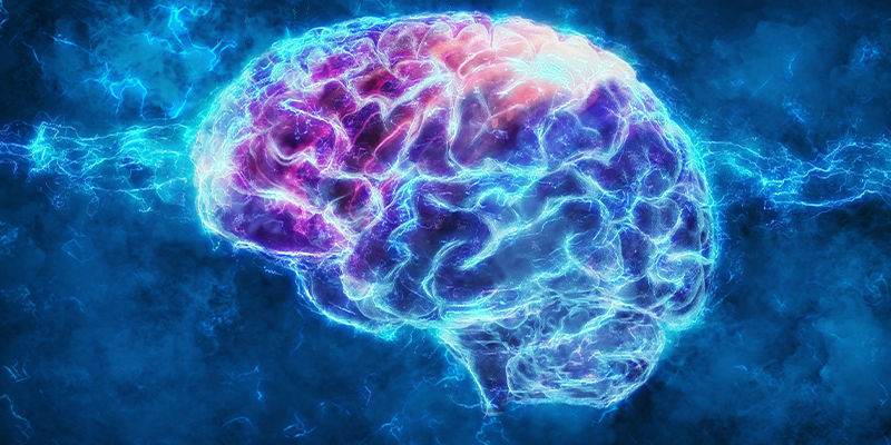 Jak nootropika funguj&iacute;