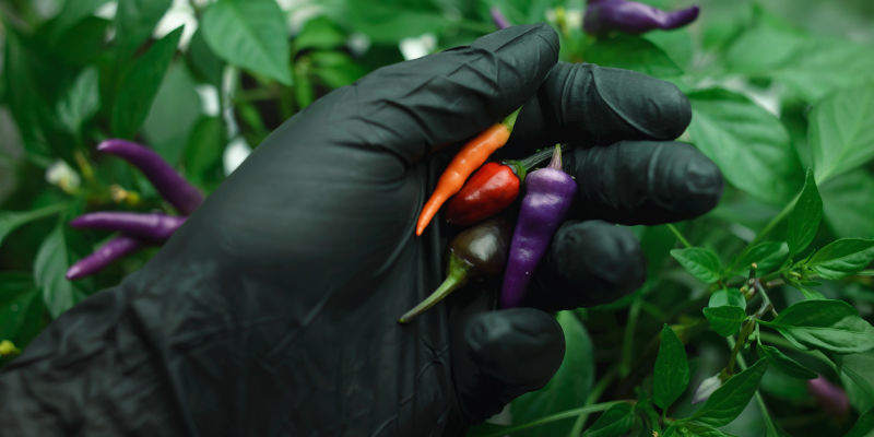 Skl&iacute;zejte ve spr&aacute;vn&yacute; čas