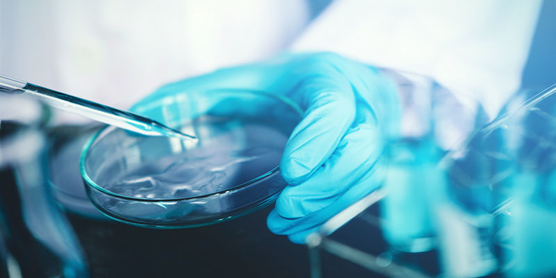 Jak byl v&yacute;zkum proveden?