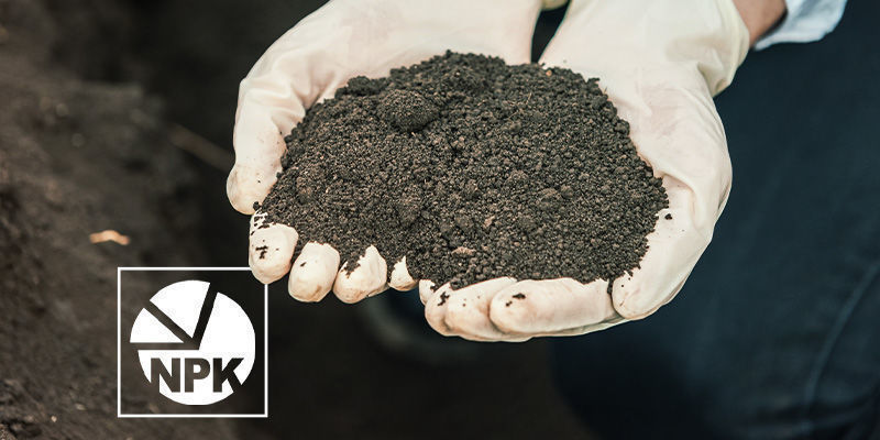 Prim&aacute;rn&iacute; živiny