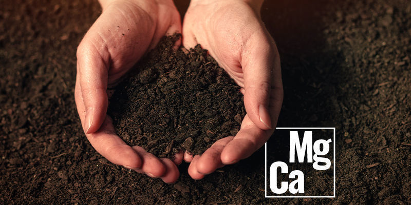 Sekund&aacute;rn&iacute; živiny