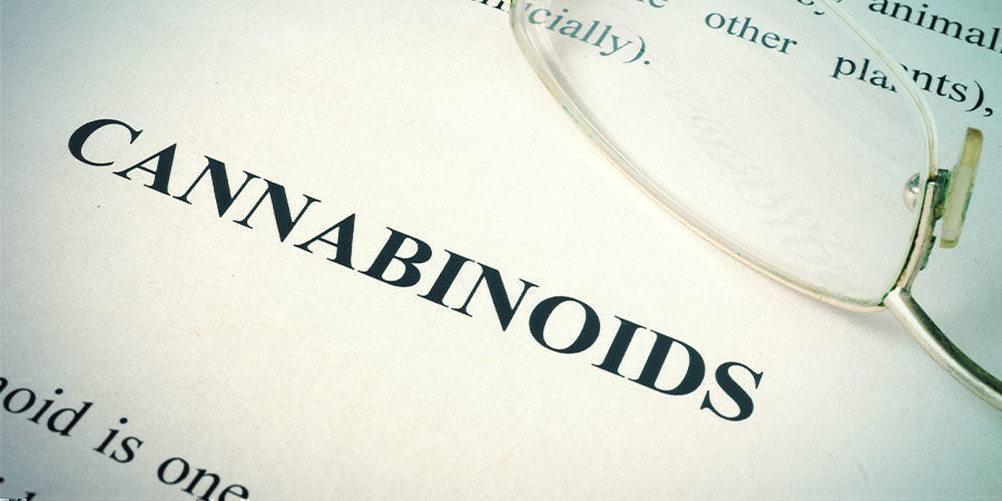 Poznejte sv&eacute; TAC