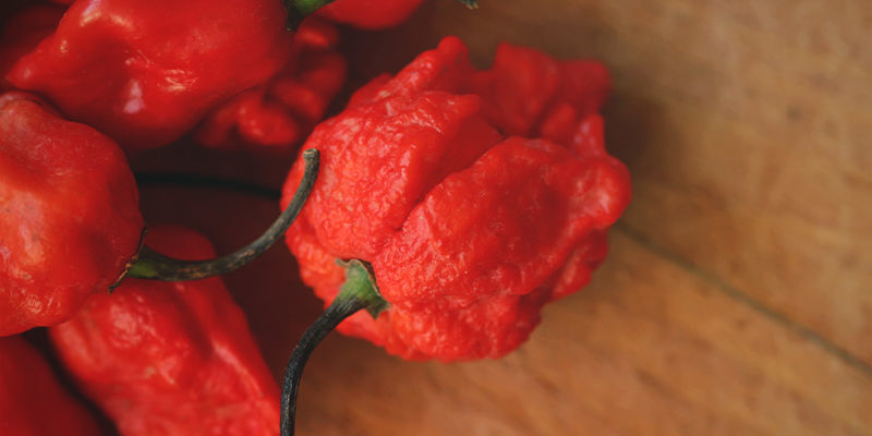 Jste připraveni na Carolina Reaper?