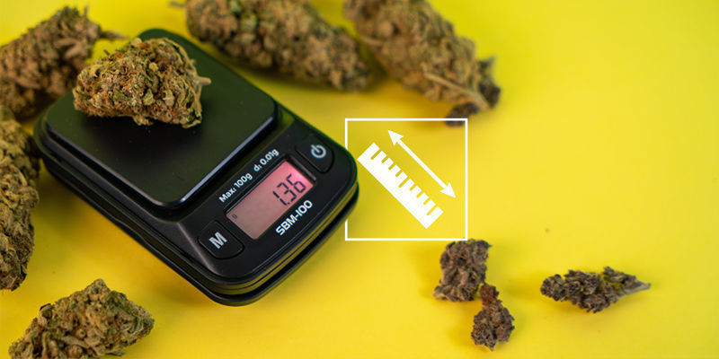 Přehled jednotek pro měřen&iacute; tr&aacute;vy