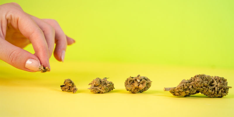 Použit&iacute; rukou a oč&iacute;