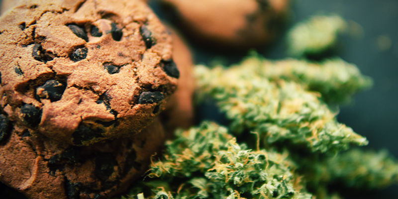 J&iacute;dlo a rekreačn&iacute; drogy: něco k zamy&scaron;len&iacute;