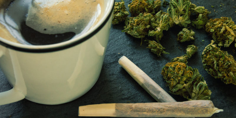 Už&iacute;v&aacute;n&iacute; kofeinu s jin&yacute;mi drogami