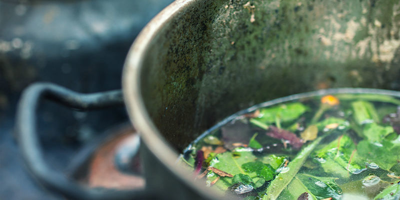 Jak&eacute; potraviny interaguj&iacute; s halucinogeny?