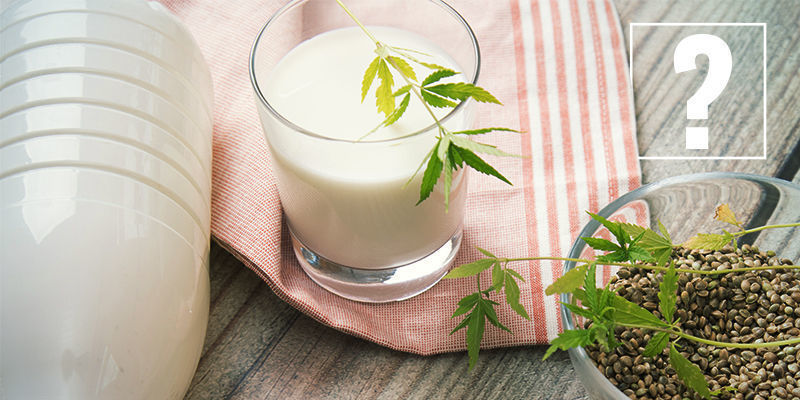 Proč je důležit&eacute; zn&aacute;t interakce mezi j&iacute;dlem a l&eacute;ky?