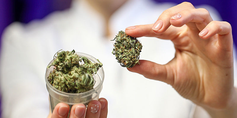 Porovn&aacute;n&iacute; delta-8, delta-9 a delta-10 THC