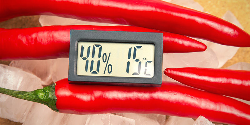 Nejlep&scaron;&iacute; tipy na přezimov&aacute;n&iacute; chilli papriček