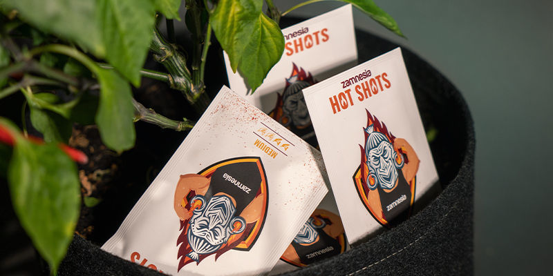 Vyberte si sv&eacute; obl&iacute;ben&eacute; p&aacute;liv&eacute; papričky a pusťte se do pěstov&aacute;n&iacute;