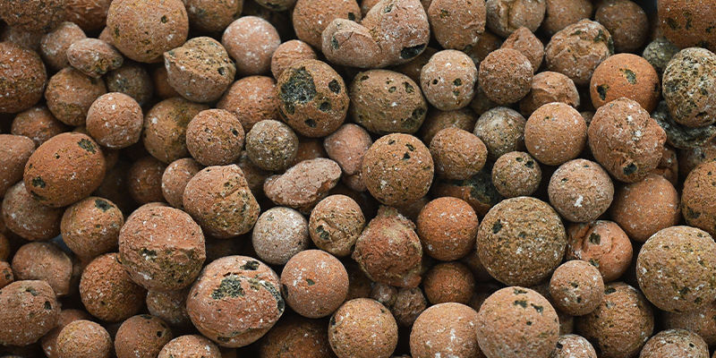 Pěstov&aacute;n&iacute; p&aacute;liv&yacute;ch paprik v hydroponii: Nejlep&scaron;&iacute; tipy