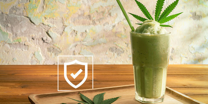 Je bezpečn&eacute; konzumovat syrov&eacute; konop&iacute;?