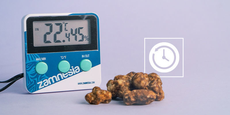 Za jak dlouho magick&eacute; lan&yacute;že uschnou?