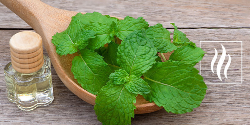 Jak von&iacute; humulen?