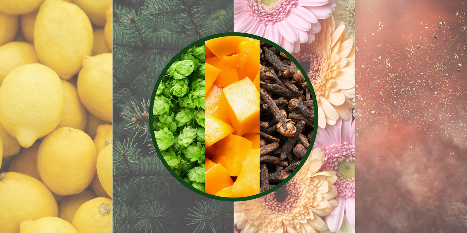 Myrcen vs jin&eacute; terpeny