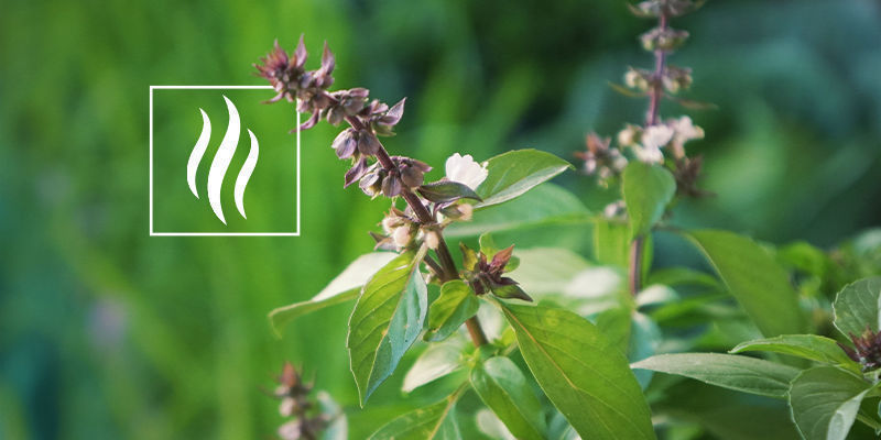 Jak von&iacute; pinen?