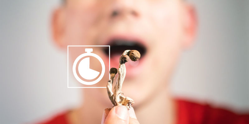 Jak dlouho přetrv&aacute;v&aacute; tolerance na lysohl&aacute;vky?