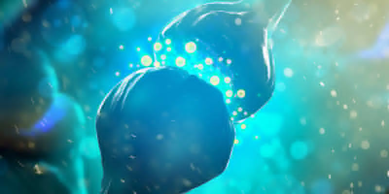 Proč si tělo vytv&aacute;ř&iacute; toleranci na lysohl&aacute;vky?