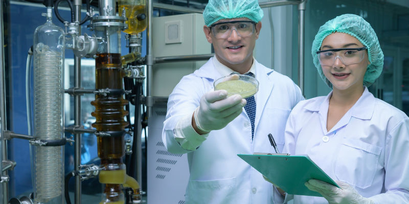 Cannabis powder &mdash; Where did it start?