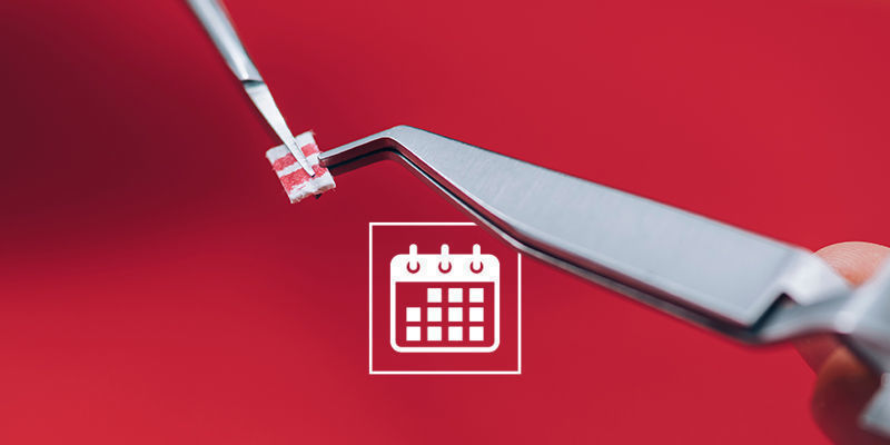 Jak dlouho byste měli microdosovat?