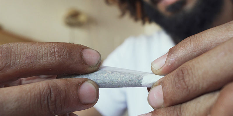 Poznejte v&scaron;echno, co konop&iacute; nab&iacute;z&iacute;