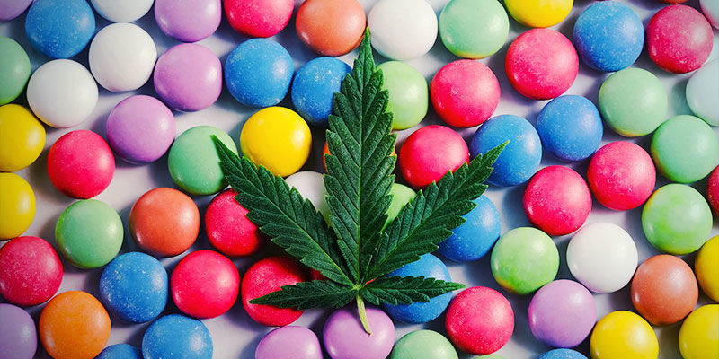 Jak použ&iacute;vat konop&iacute; na span&iacute;