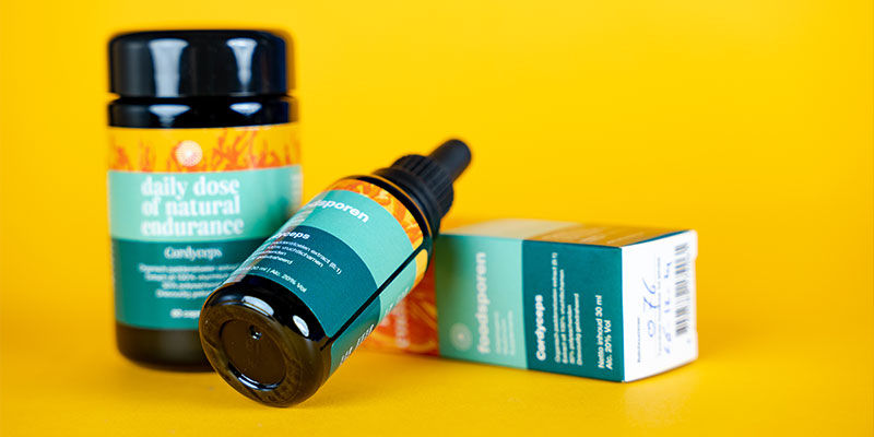 Kde koupit cordyceps?