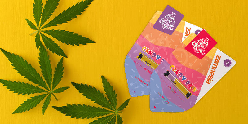 Jak pěstovat Candy Rain