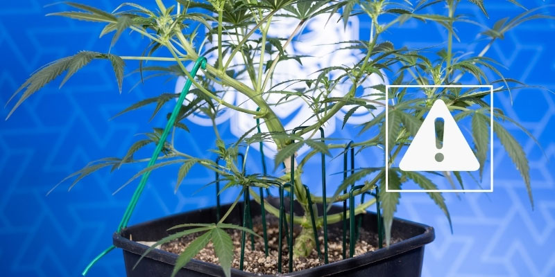 Možn&aacute; rizika a jak se jim vyhnout