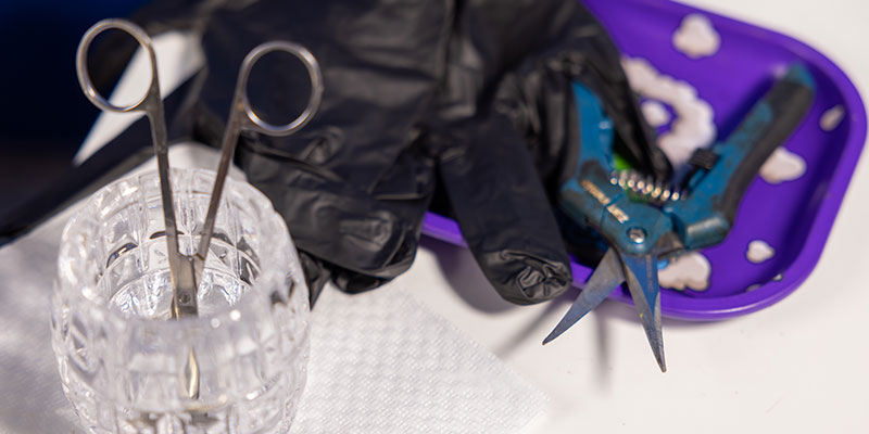 N&aacute;stroje a tipy pro topping a fimming