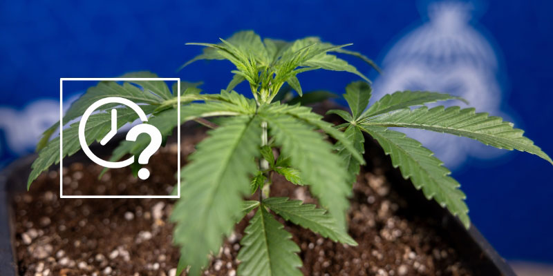 Kdy použ&iacute;t kterou metodu