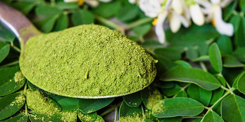 Get More Out Of Moringa Today