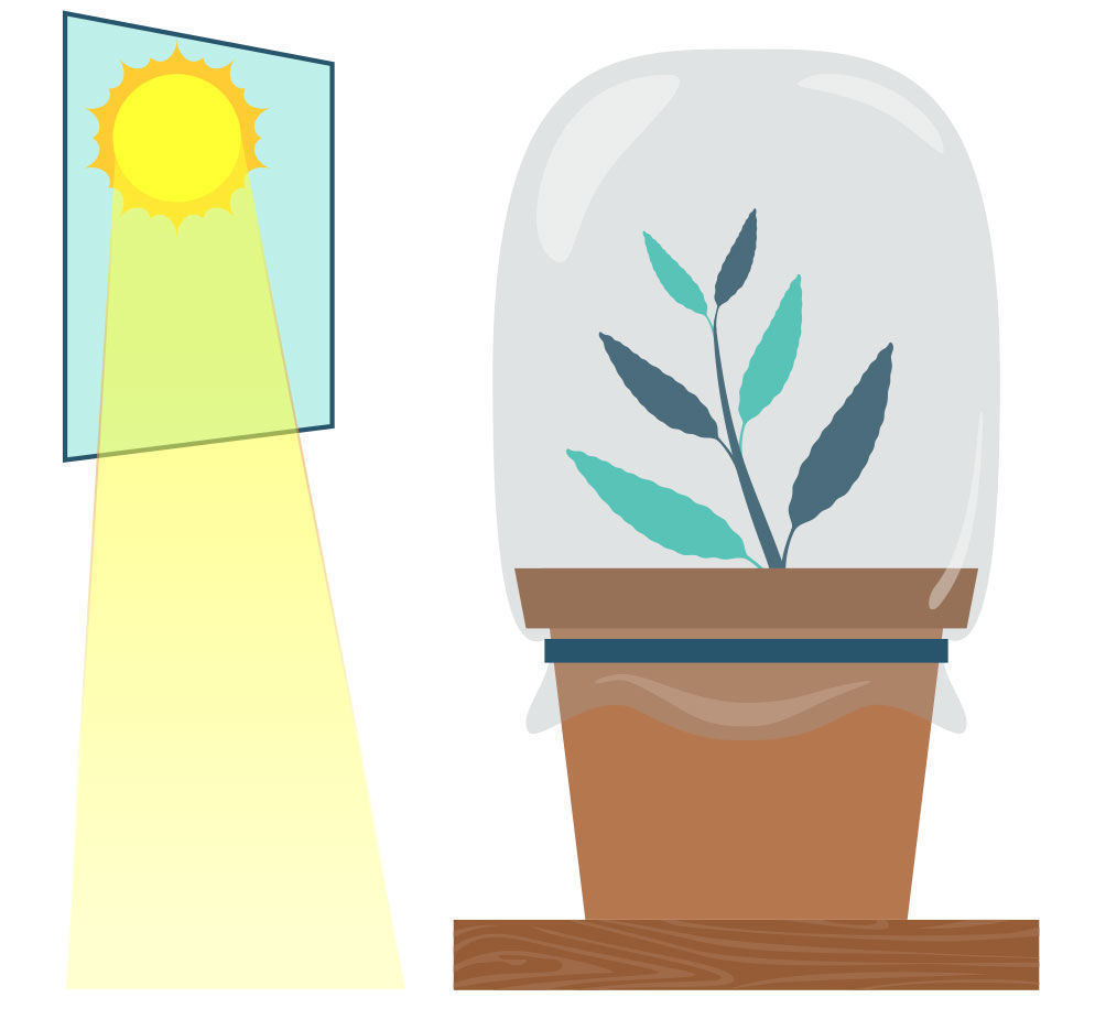 Krok 6: Množen&iacute; &scaron;alvěje divotvorn&eacute; z ř&iacute;zku