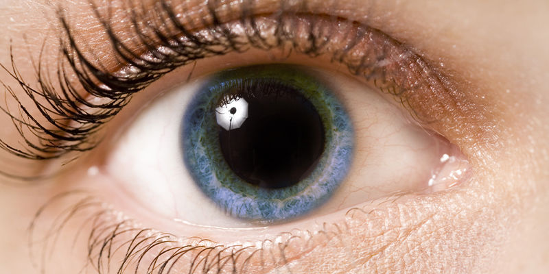 Co oček&aacute;vat z hlediska &uacute;činků