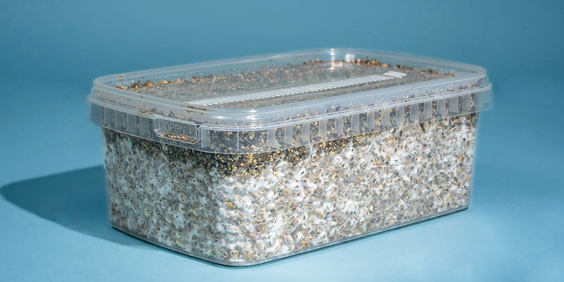 Co je to grow kit na magick&eacute; houby?