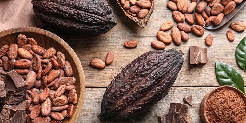 Co jsou inhibitory monoaminooxid&aacute;zy (IMAO)?