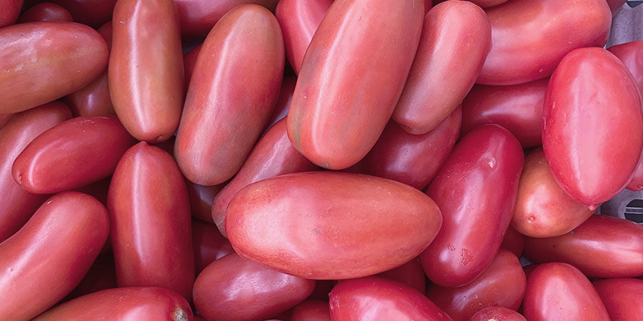 Koktejlov&eacute; rajče &bdquo;Thai Pink Egg&ldquo;