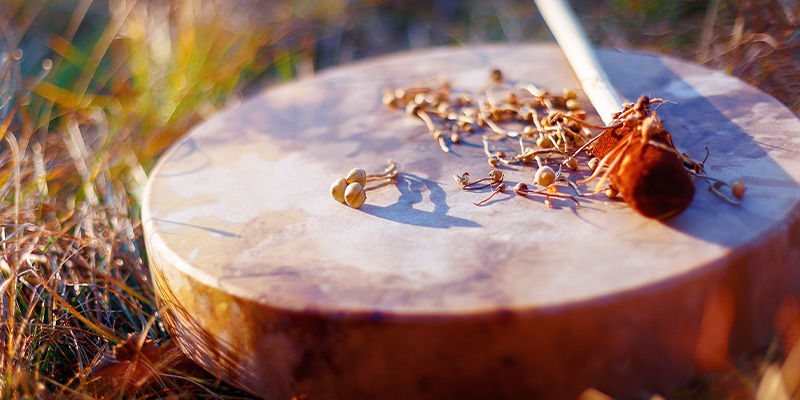 Proč je mezi &scaron;amany a psychedeliky tak &uacute;zk&eacute; spojen&iacute;?