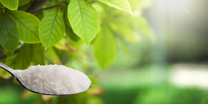 V&yacute;hody st&eacute;vie