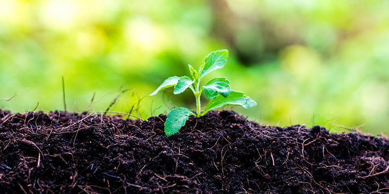 Vyberte spr&aacute;vn&eacute; stanovi&scaron;tě