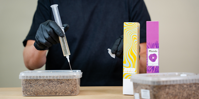 Kter&aacute; možnost je lep&scaron;&iacute; pro pěstov&aacute;n&iacute; hub: injekčn&iacute; stř&iacute;kačka se sporami nebo tekut&aacute; kultura?