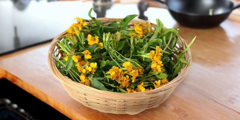 Jak připravit mexick&yacute; estragon