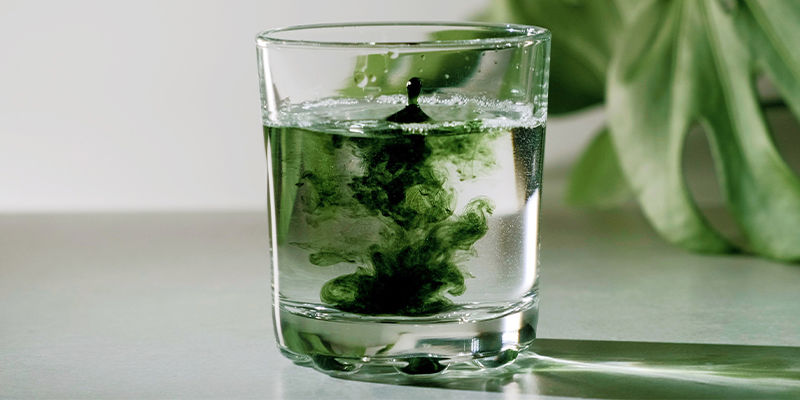 Chlorella: Skvěl&eacute; obohacen&iacute; každ&eacute;ho zdrav&eacute;ho j&iacute;deln&iacute;čku