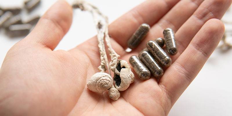 Co je to medic&iacute;na?